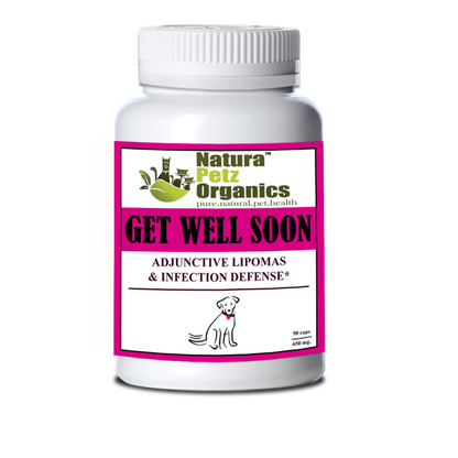 Get Well Soon - Adjunctive Lipoma + Infection Defense* - Pets Perfect