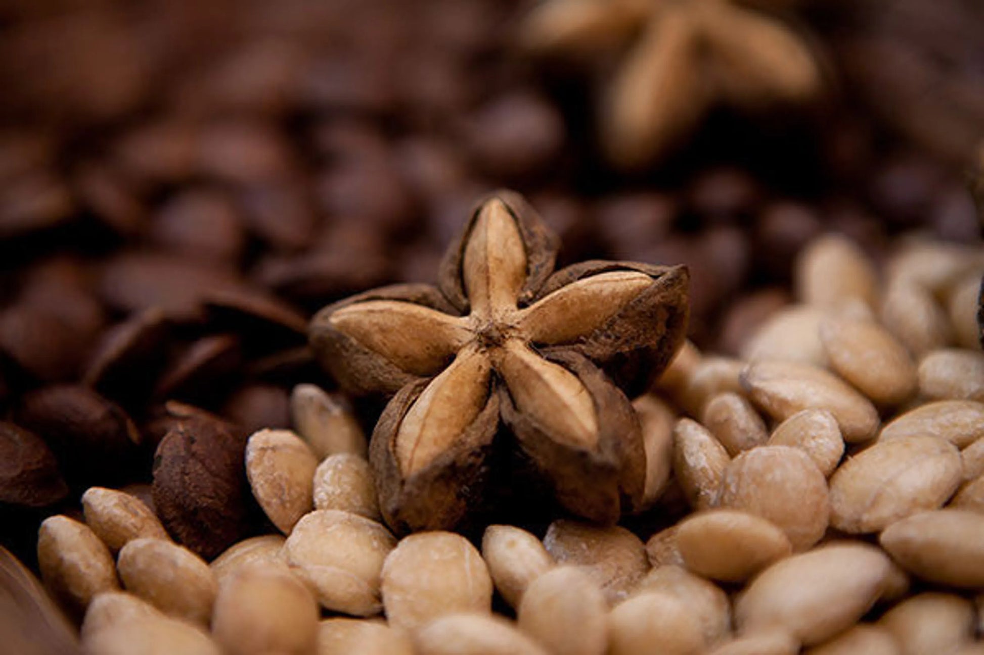 Daily Greens Glow Multi - Vitamin & Multi - Mineral Support* Flavored Meal Topper For Dogs And Cats* - Pets Perfect