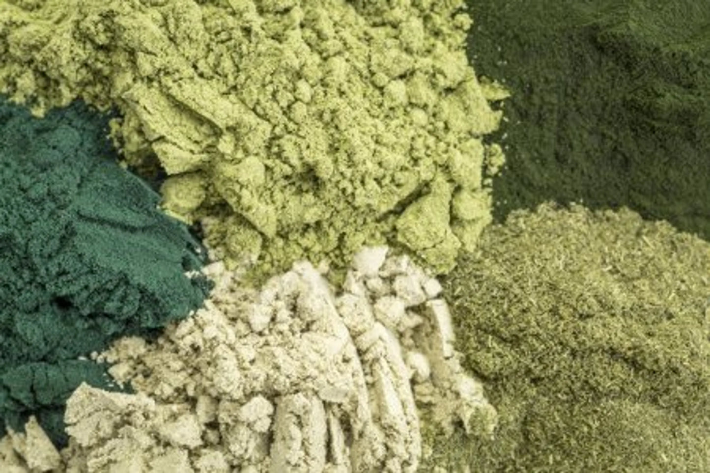 The Petz Kitchen Daily Greens Glow Meal Topper - Multi-Vitamin & Mineral Support for Dogs & Cats