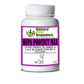 Hepa Protect Max Capsules - Liver, Kidney, Bladder & Gall Bladder Support & Cleanse*