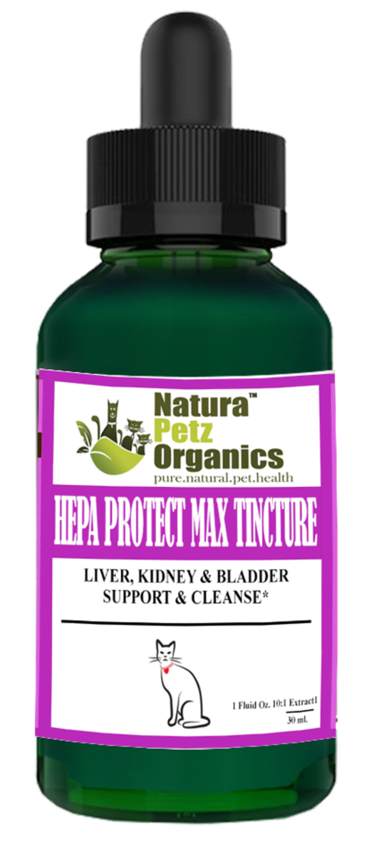 Hepa Protect Max Tincture* Master Blend Liver Kidney & Bladder Support & Cleanse 10:1 Extract* - Pets Perfect