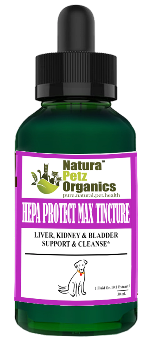 Hepa Protect Max Tincture* Master Blend Liver Kidney & Bladder Support & Cleanse 10:1 Extract* - Pets Perfect