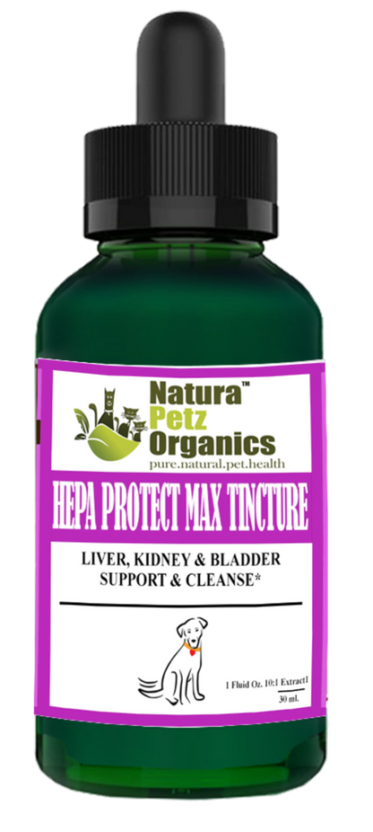 Hepa Protect Max Tincture* Master Blend Liver Kidney & Bladder Support & Cleanse 10:1 Extract* - Pets Perfect