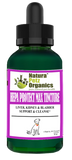 Hepa Protect Max Tincture* Master Blend Liver Kidney & Bladder Support & Cleanse 10:1 Extract* - Pets Perfect