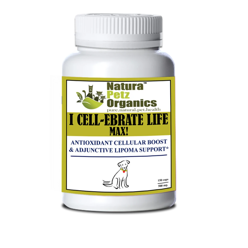 I Cellebrate Life Max - Antioxidant Cellular Boost + Adjunctive Lipoma, view 12