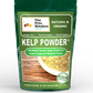 Kelp Omega 3 Thyroid & Whole Body Multi-Mineral, Multi-Vitamin & Dental Support* The Petz Kitchen*