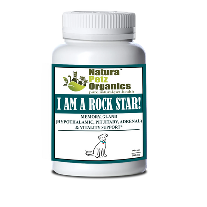 I Am A Rock Star - Memory, Gland (Hypothalamic, Pituitary And Adrenal) & Vitality Support*