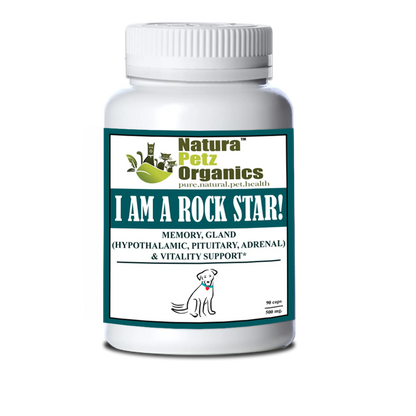 I Am A Rock Star - Memory, Gland (Hypothalamic, Pituitary And Adrenal) & Vitality Support* - Pets Perfect
