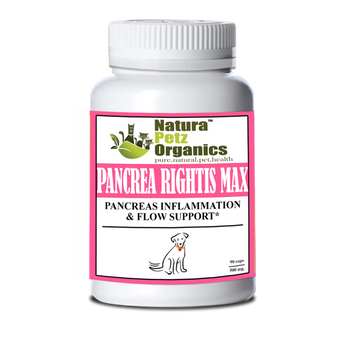 Pancrea Rightis Max Support* Capsules Pancreas Inflammation & Flow Support Dogs Cats*