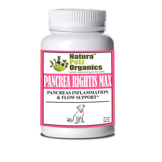 Pancrea Rightis Max Support* Capsules Pancreas Inflammation & Flow Support Dogs Cats* - Pets Perfect