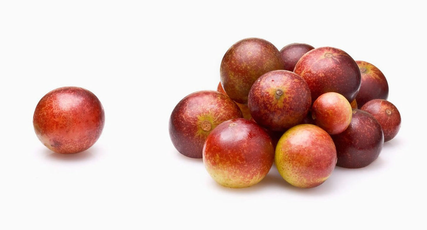 The Petz Kitchen Camu Camu Extract - Joint Teeth & Eye Support