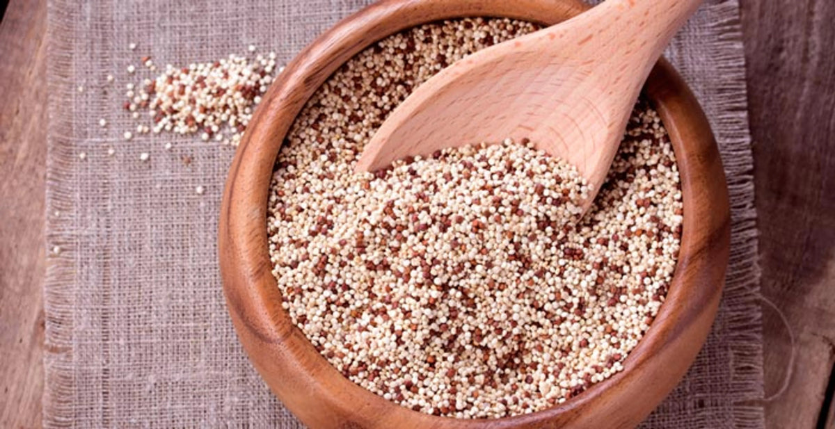 Organic Canihua Flour for Dogs & Cats - Complete Protein Ancient Grain Superfood Supplement - Pets Perfect