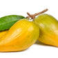 Lucuma Powder - Glycemic Glucose & Digestive Support*  Antioxidant Usda Organic Super Food & Fruit The Petz Kitchen
