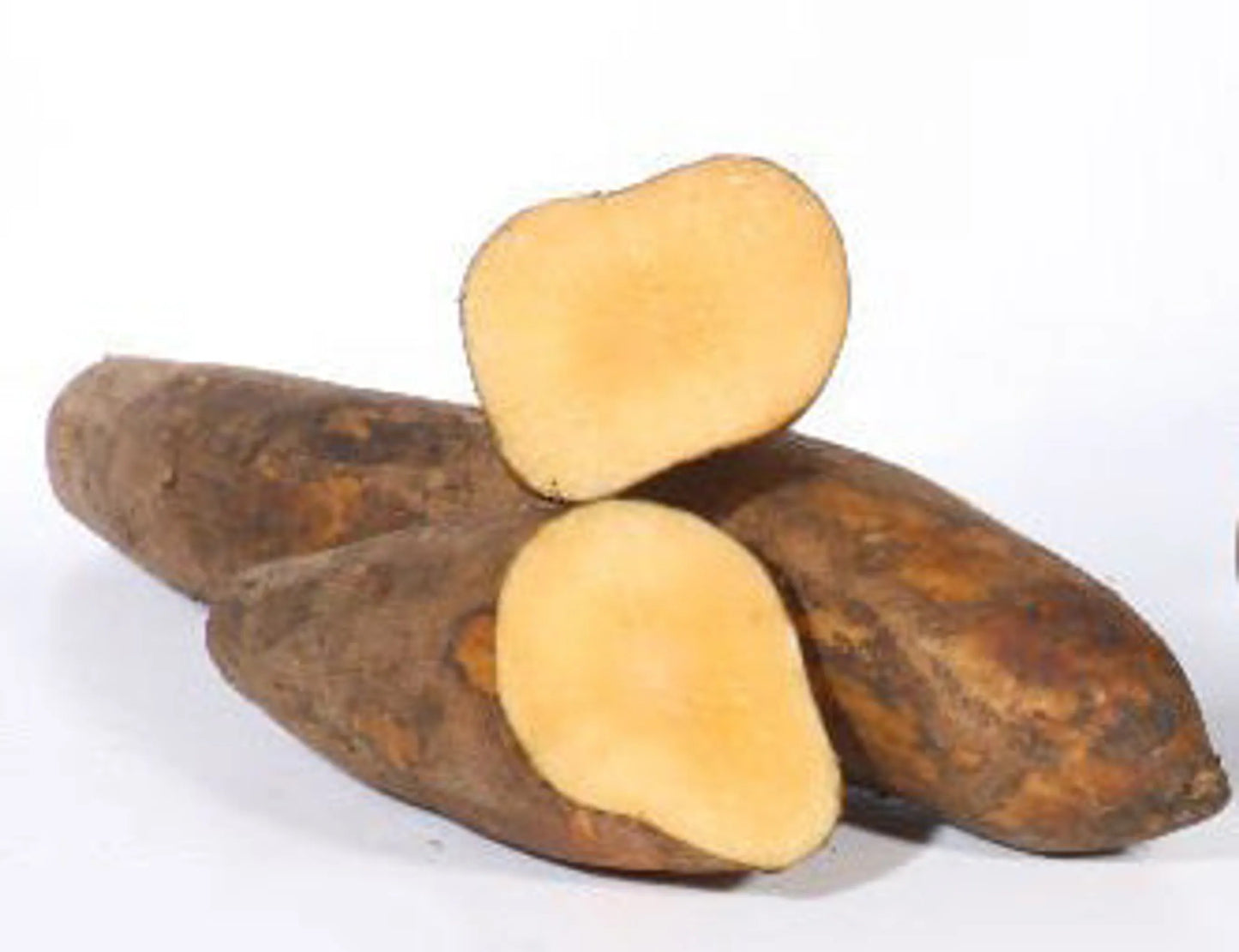 Yacon Leaf - Antioxidant Pancreatic Support* Glycemic & Glucose Support* The Petz Kitchen - Organic Human Grade Ingredients For Home Prepared Meals & Treats - Pets Perfect