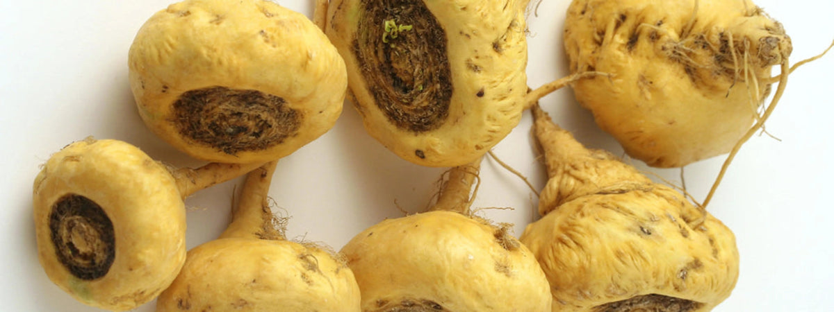 Yellow Maca* Complete Protein & Cognitive & Glandular Support* The Petz Kitchen Organic & Human Grade Ingredients For Home Prepared Meals & Treats* - Pets Perfect