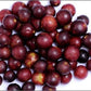 All Shins & Grins Capsules - Antioxidant Super Food Bone, Eye, Teeth & Skin Support Dog & Cat*