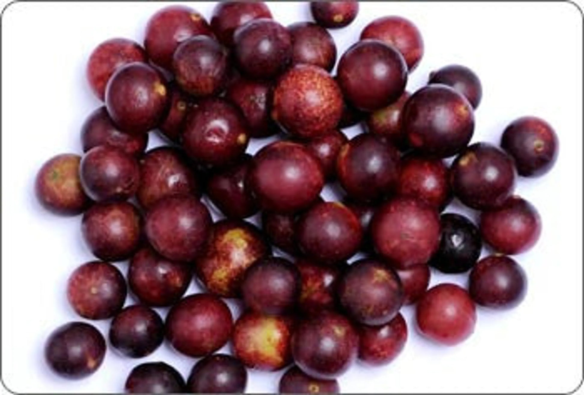 All Shins & Grins Capsules - Antioxidant Super Food Bone, Eye, Teeth & Skin Support Dog & Cat* - Pets Perfect