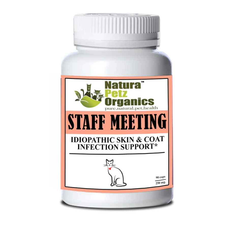 Staff Meeting* Idiopathic Skin & Coat Infection* Support For Dogs And, CAT 90 CAPS - 250 MG. SIZE 3/1, view 4