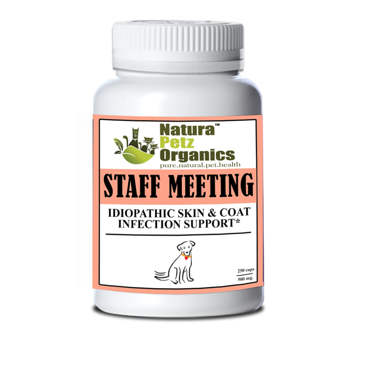 Staff Meeting* Idiopathic Skin & Coat Infection* Support For Dogs And Cats* - Pets Perfect