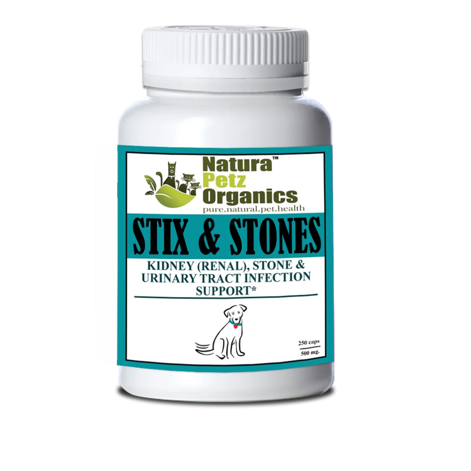 Stix And Stones Capsules* Kidney, Urinary Tract Infection & Stone, CAT/ 90 CAPS / 250 MG / SIZE 3/1, view 4