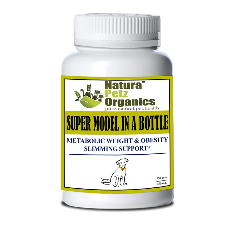 Super Model in A Bottle - Metabolic Weight & Obesity Slimming Support*, DOG / 250 CAPS / 500 MG/1, view 3