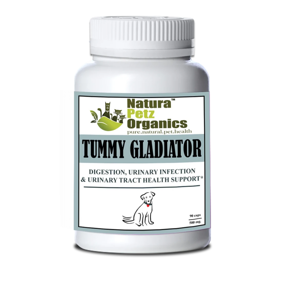 Tummy Gladiator, Digestion, Adjunctive Reflux & Urinary Tract Support*, DOG / 250 CAPS / 500 MG/ SIZE 1/1, view 3
