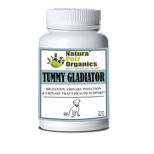 Tummy Gladiator Digestive Wellness Capsules for Dogs - Natural Pet Supplement 500mg