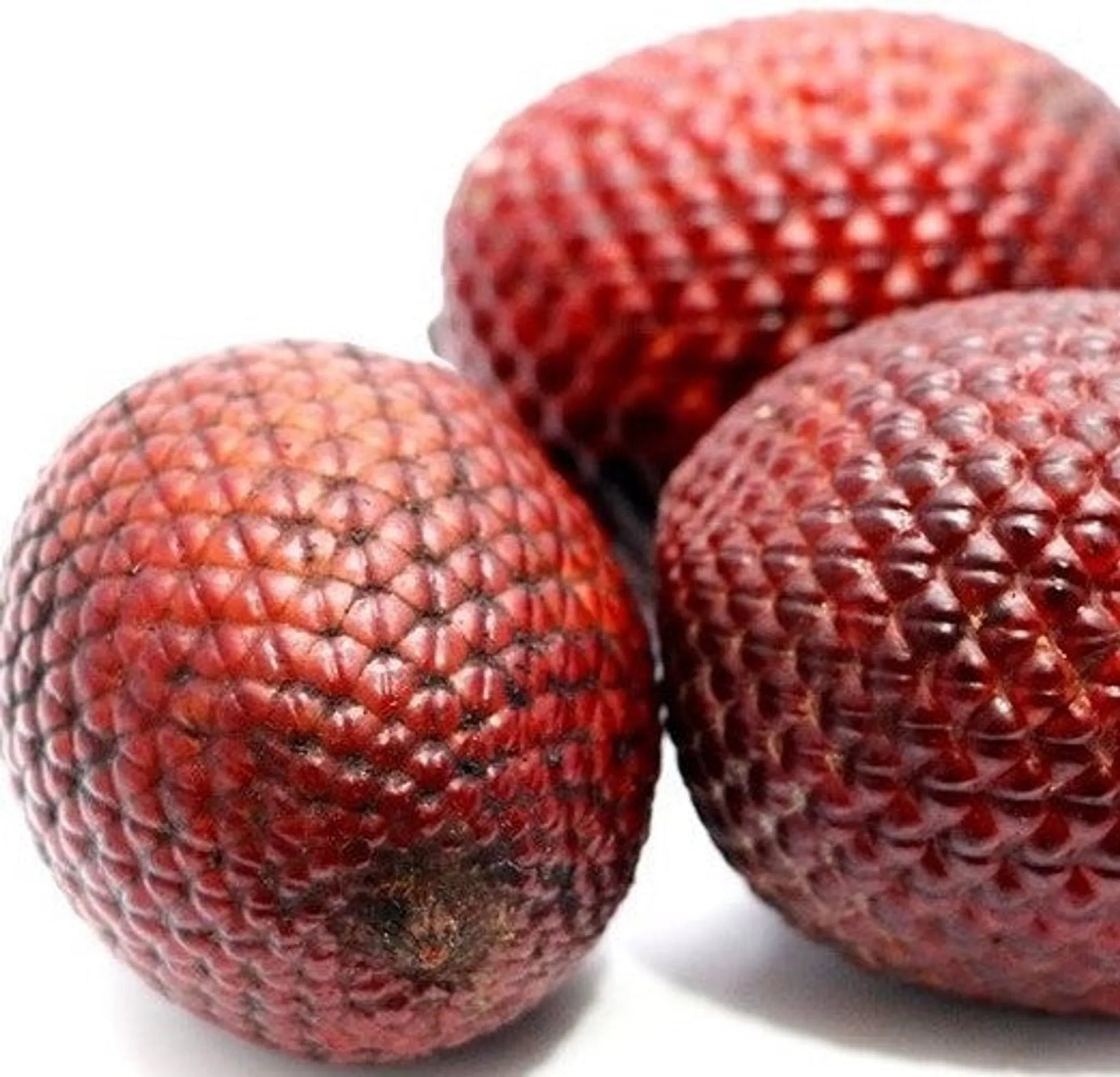 Aguaje Powder - Eye, Skin & Heart Support* The Petz Kitchen Dog & Cat Holistic Super Foods* - Pets Perfect