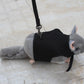 Nylon Leash for Small Pets Adjustable Sizes & Colors - Pets Perfect