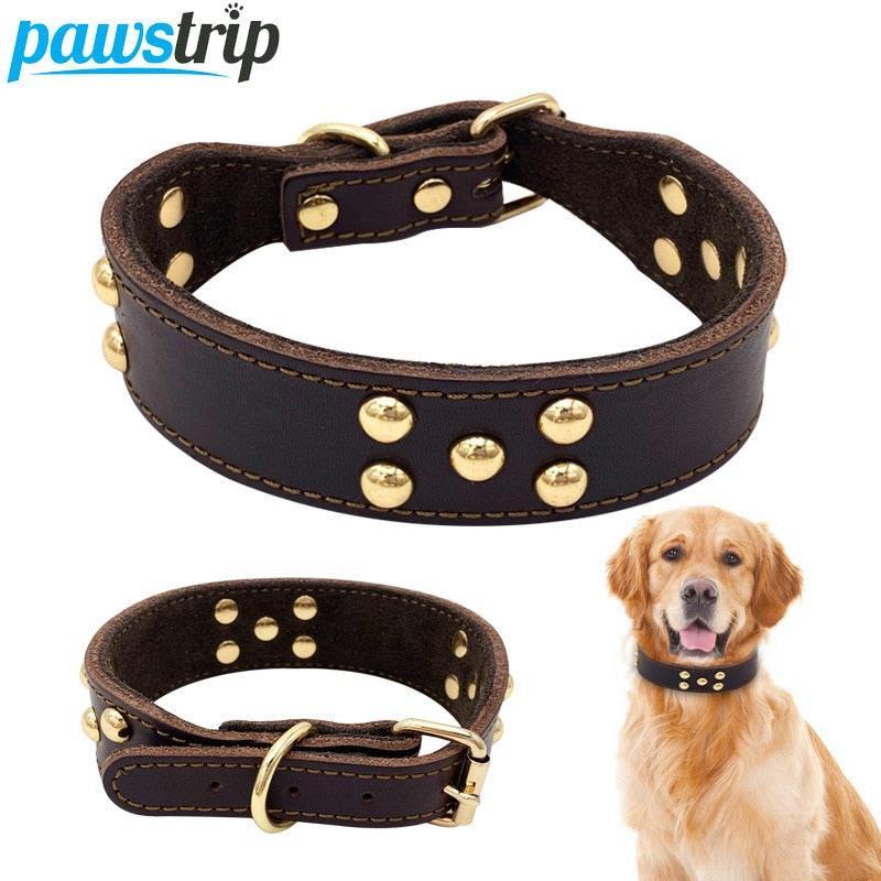 Petpals ComfortFit Adjustable Leather Dog Collar - Durable & Stylish for All Breeds - Pets Perfect