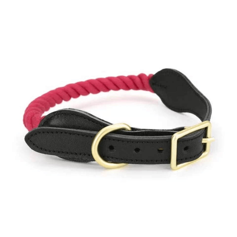 Luxe Royal Leather Dog Collar with Durable Brass O-Ring, Pale Blue Lily/M, view 38