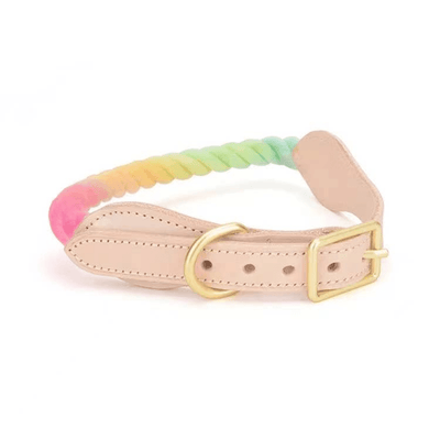 Luxe Royal Leather Dog Collar with Durable Brass O-Ring, Bubble Love