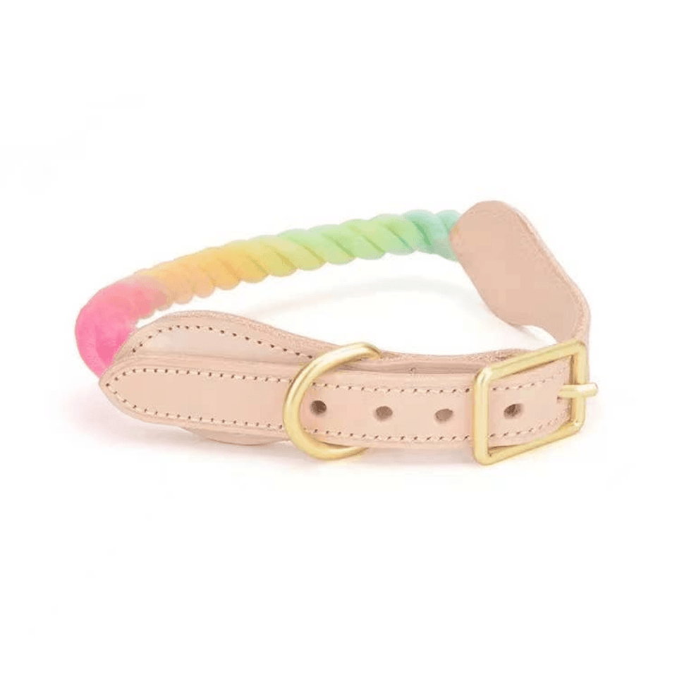 Luxe Royal Leather Dog Collar with Durable Brass O-Ring, Bubble Love/M, view 2