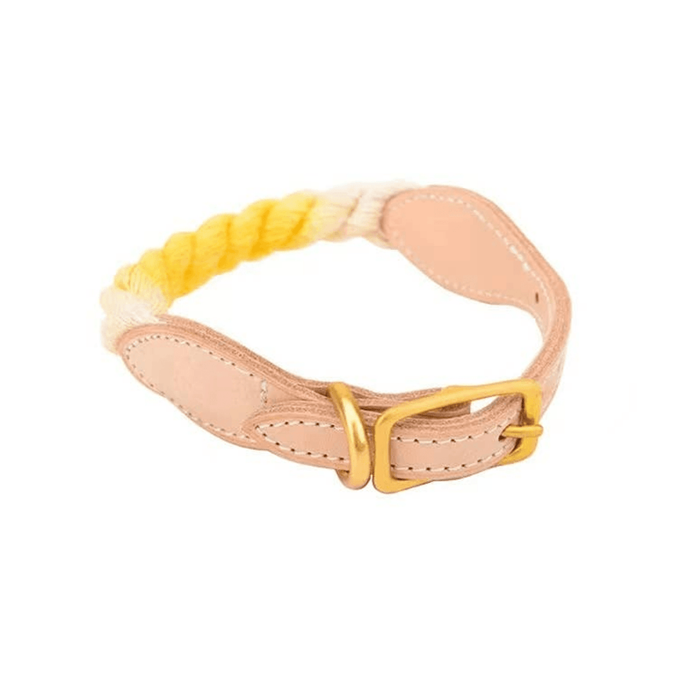 Luxe Royal Leather Dog Collar with Durable Brass O-Ring, Lemon Squeeze/M, view 65