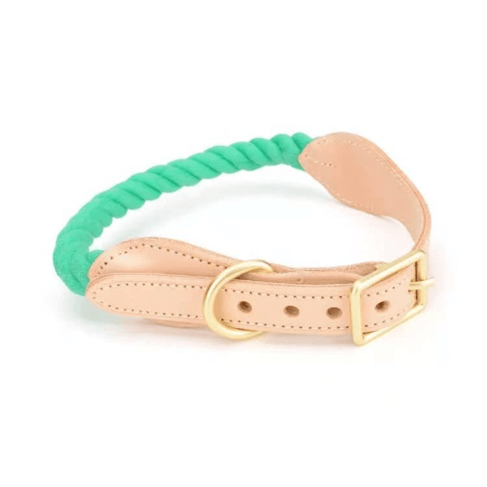 Luxe Royal Leather Dog Collar with Durable Brass O-Ring, Pumpkin Love, view 40
