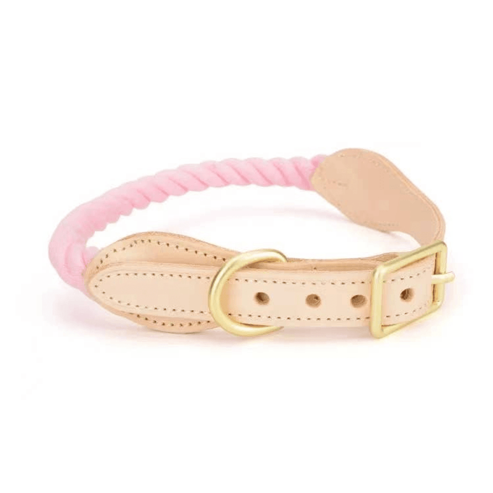 Luxe Royal Leather Dog Collar with Durable Brass O-Ring, Pumpkin Love/M, view 41