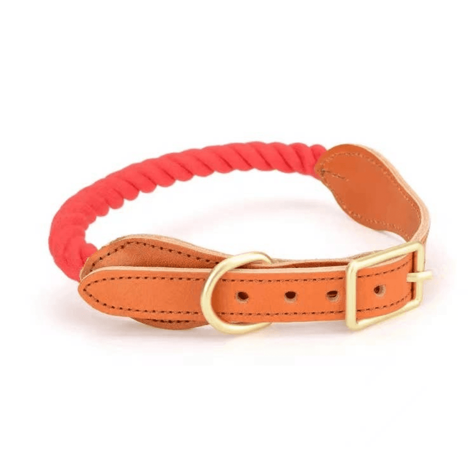 Luxe Royal Leather Dog Collar with Durable Brass O-Ring, Cornflower Blue, view 15