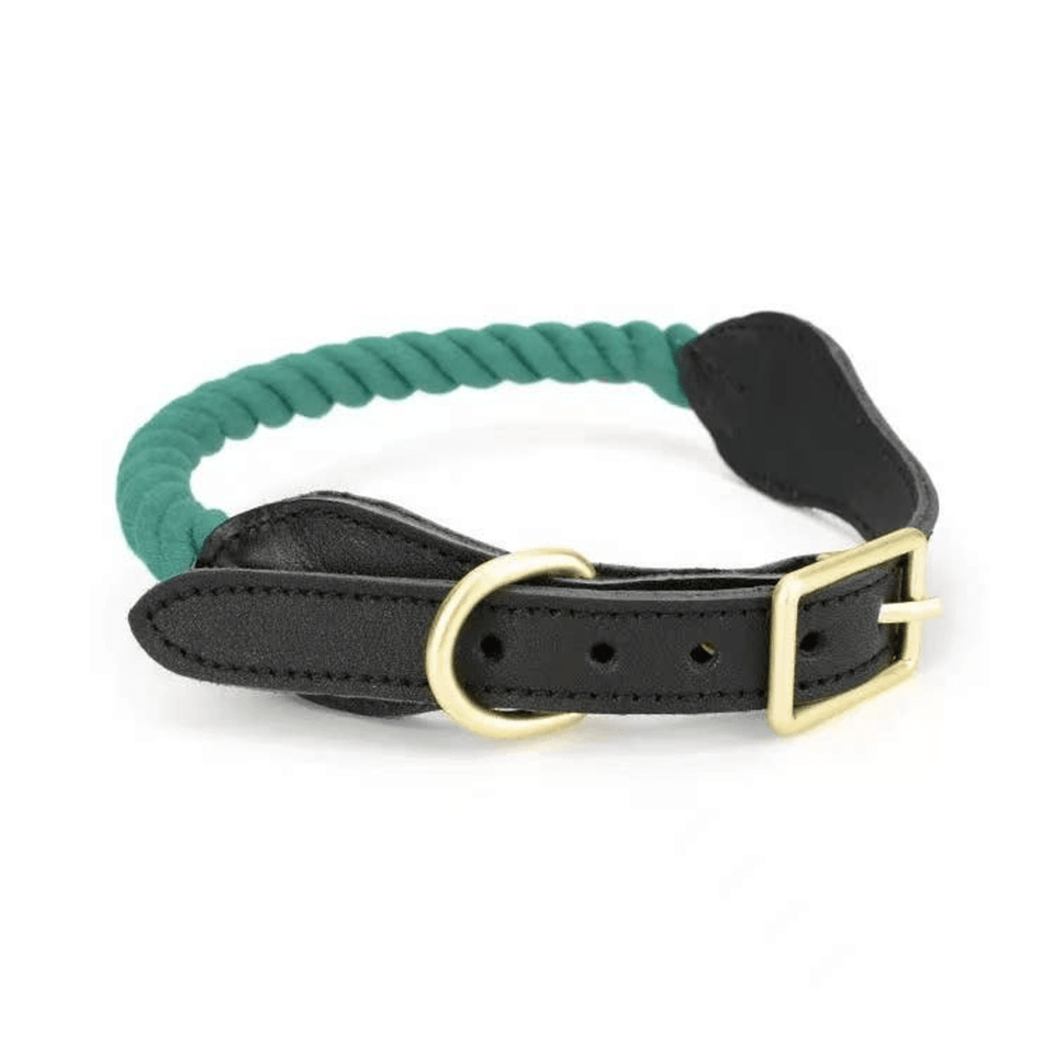 Luxe Royal Leather Dog Collar with Durable Brass O-Ring, Sky Blue/M, view 77