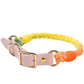 Luxe Royal Leather Dog Collar with Durable Brass O - Ring - Pets Perfect