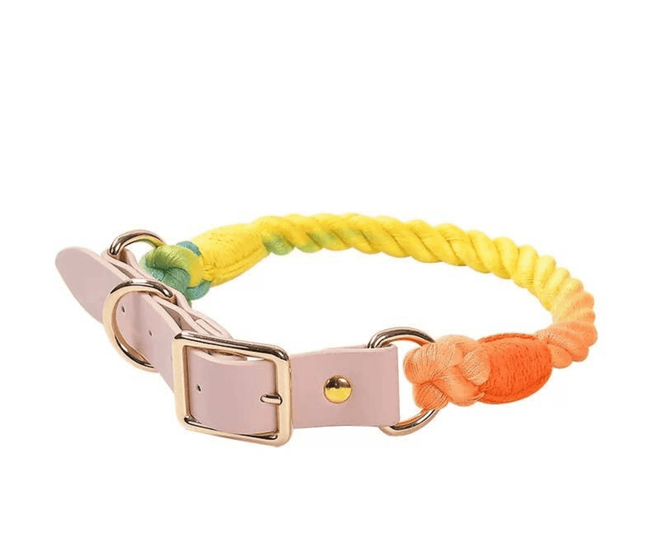 Luxe Royal Leather Dog Collar with Durable Brass O-Ring, view 79