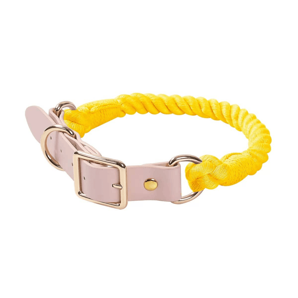 Luxe Royal Leather Dog Collar with Durable Brass O-Ring, Classic Love/M, view 8