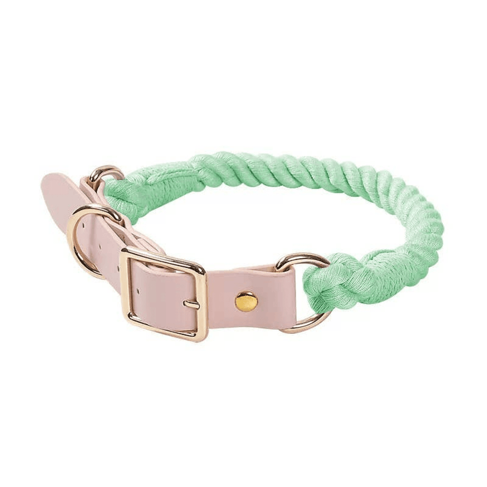 Luxe Royal Leather Dog Collar with Durable Brass O-Ring, Corn, view 10