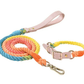 Luxe Royal Pink Leather Dog Rope Leash and Collar Set - Pets Perfect