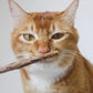 Matatabi Dental Sticks - Pets Perfect