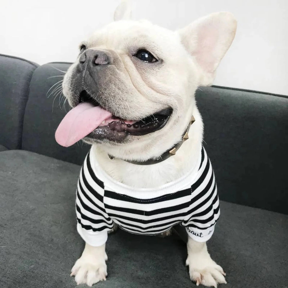 Stripe Style Matching Pet and Owner Cardigan Sweater Set - Pets Perfect