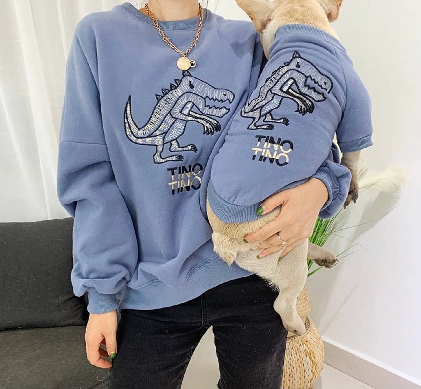 Dinosaur Love Matching Pet and Owner Cardigan Sweater Set
