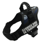 Explosafe Pet Leash: The Ultimate Safety Harness For Your Furry Friend - Pets Perfect