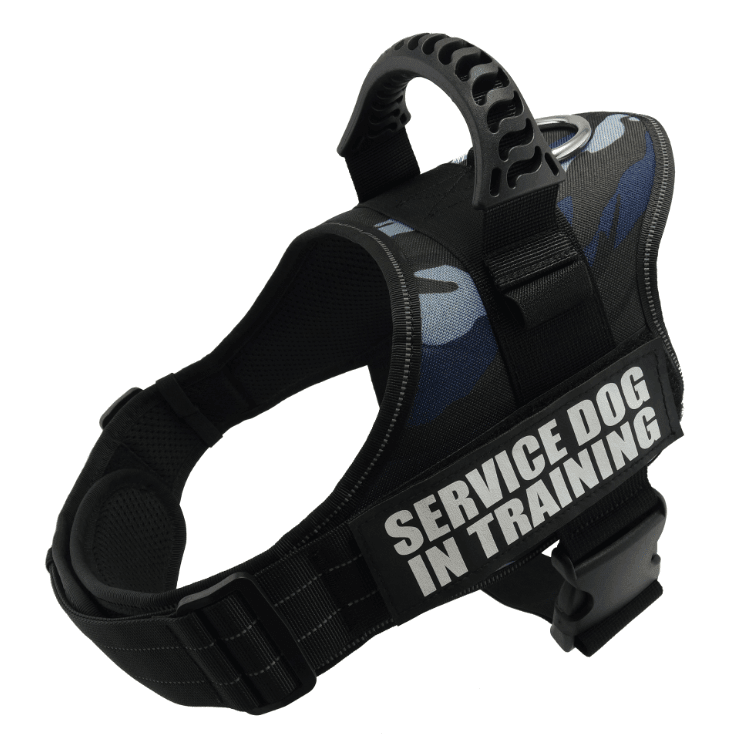 Explosafe Pet Leash: The Ultimate Safety Harness For Your Furry Friend - Pets Perfect