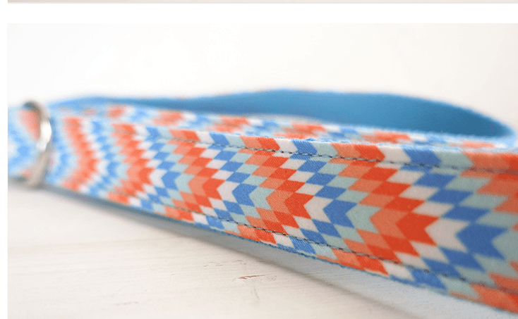 Patterned Dog Collar - Orange Blue Design - Pets Perfect