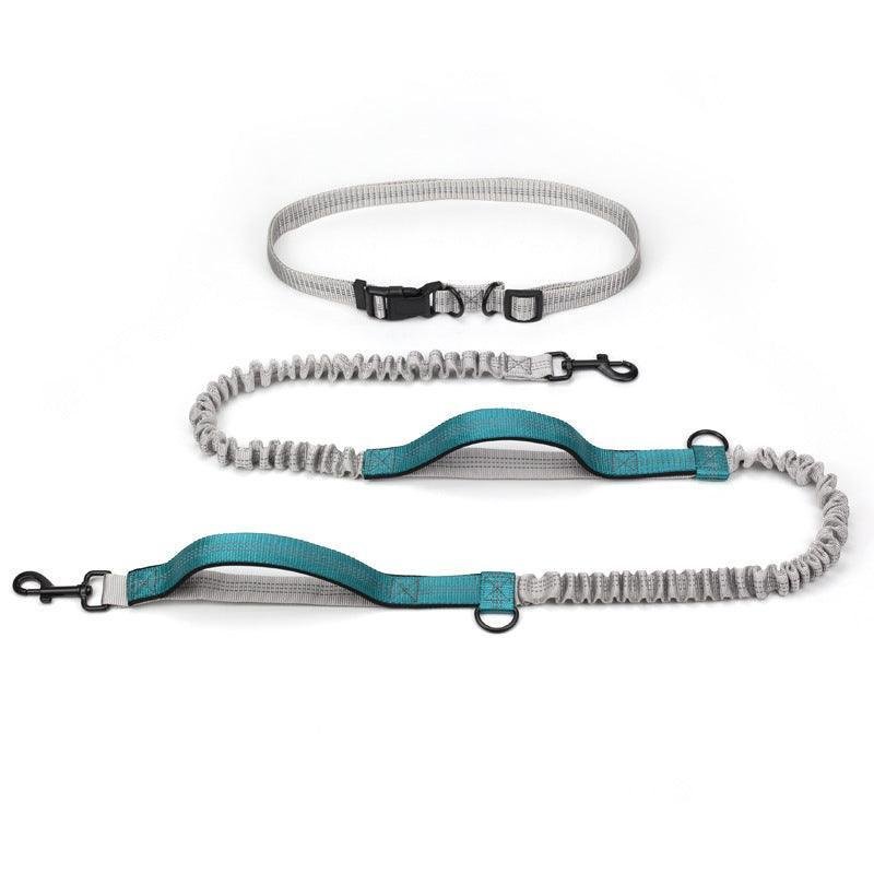 Ultimate Outdoor Adventure Dog Leash - Pets Perfect
